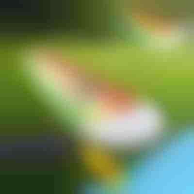 Φουσκωτή νεροτσουλήθρα (465x80cm) | REEFLY