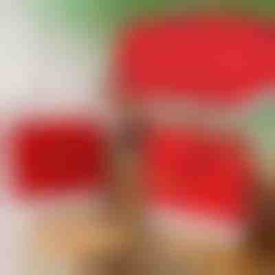 Χριστουγεννιάτικα καλύμματα για καρέκλες τραπεζαρίας (4τμχ) | SANTASEAT