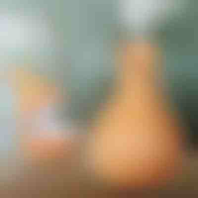 Ξύλινος υγραντήρας | HUMISTER