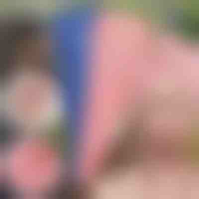 Πετσέτα μαλλιών γρήγορου στεγνώματος (2 τμχ) | HAIRWRAP