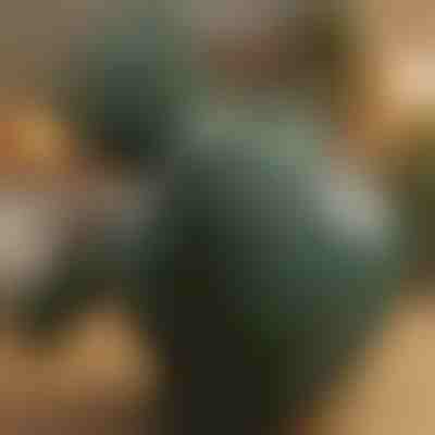 Θερμαινόμενη συσκευή μασάζ για σιάτσου | MASSORA